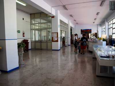 ...percorriamo una scalinata che ci porta nell�atrio